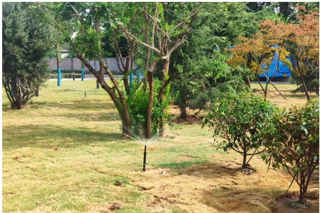 山東農(nóng)業(yè)大學智能噴灌系統(tǒng)展示